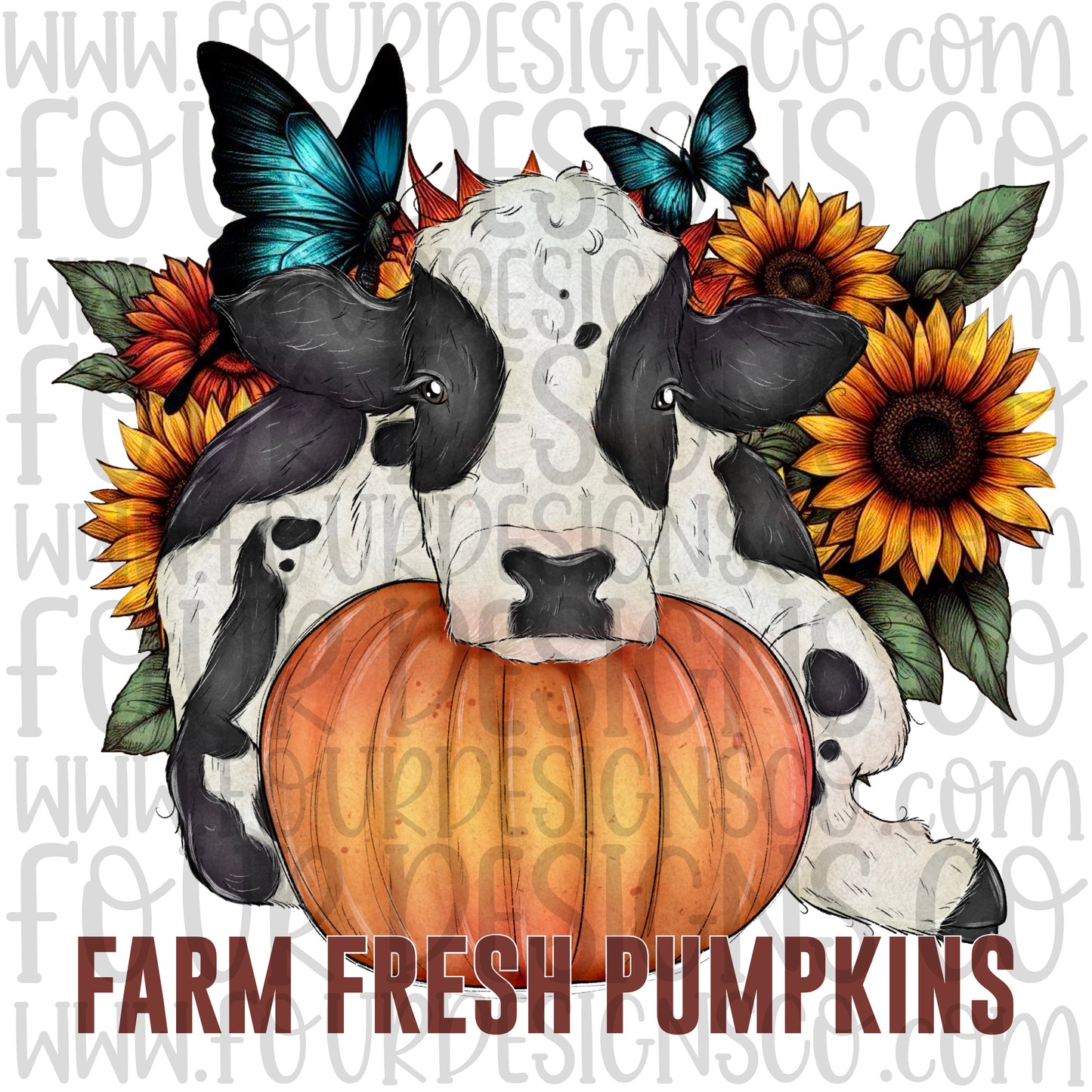 Farm fresh pumpkins