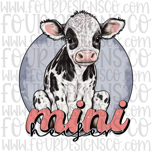 Girl- mini heifer