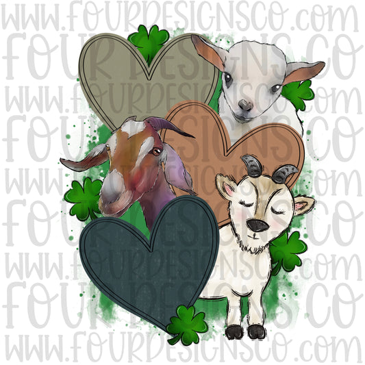 St. Patrick’s goats/hearts