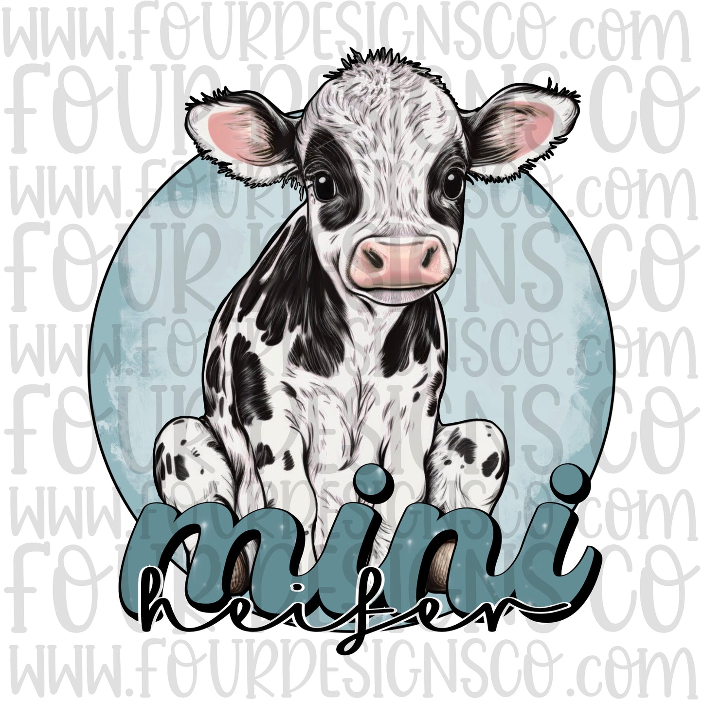 Boy- mini heifer